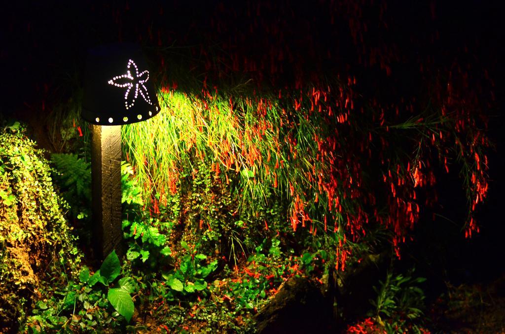 Hotel Cafezal Em Flor Turismo E Cafes Especiais Monte Alegre do Sul Esterno foto