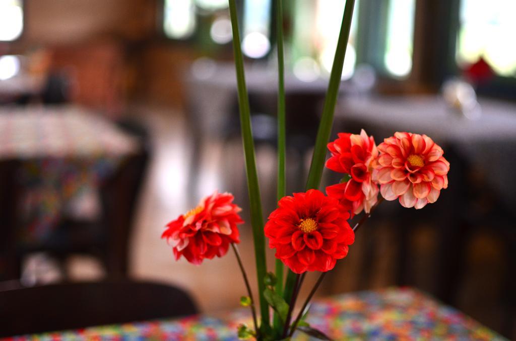 Hotel Cafezal Em Flor Turismo E Cafes Especiais Monte Alegre do Sul Esterno foto